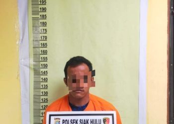 Unit Reskrim Polsek Siak Hulu Tangkap Pengedar Sabu di Kebun Sawit