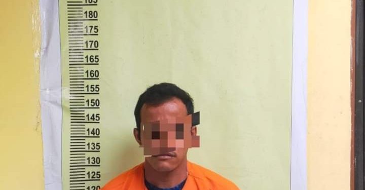 Unit Reskrim Polsek Siak Hulu Tangkap Pengedar Sabu di Kebun Sawit