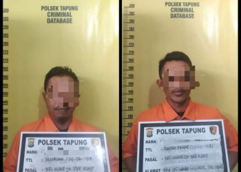 Tak terima Dituduh Curi Sawit, Dua Pria di Tapung Kampar Todong dan Sandra Mandor Koperasi Kopta Masta