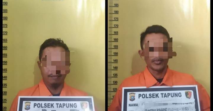 Tak terima Dituduh Curi Sawit, Dua Pria di Tapung Kampar Todong dan Sandra Mandor Koperasi Kopta Masta