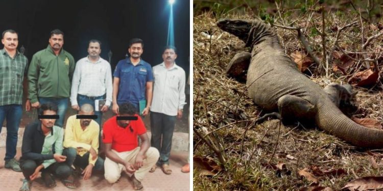 Empat Orang Ditangkap karena Diduga Perkosa Biawak Bengal