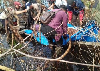 BBKSDA Riau Duga Ada 2 Harimau Yang Menerkam Warga Bengakalis Hingga Tewas Tanpa Kepala