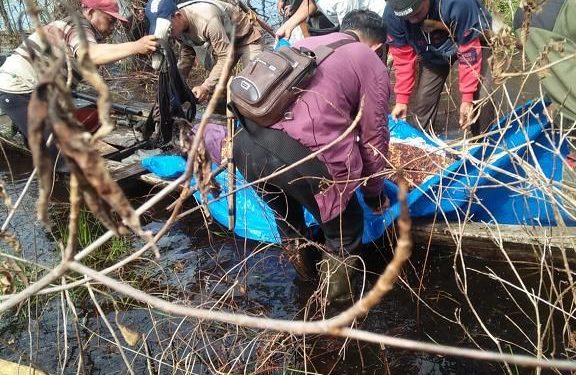 BBKSDA Riau Duga Ada 2 Harimau Yang Menerkam Warga Bengakalis Hingga Tewas Tanpa Kepala