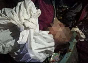 Terkuak! PRT Pembuang Mayat Bayi di TPS, Melahirkan di Gudang Rumah Majikan