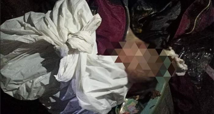 Terkuak! PRT Pembuang Mayat Bayi di TPS, Melahirkan di Gudang Rumah Majikan