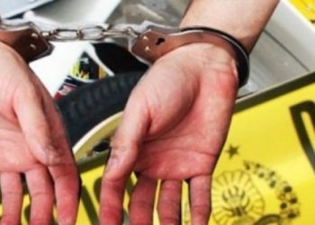 Beromzet Rp15 Juta Sebulan, Bandar Judi Higgs Domino Ditangkap saat Transaksi Chip