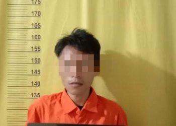 Curi Iphone, Warga Pulau Rambai Diringkus Polsek Tambang Kampar