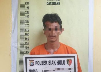 Unit Reskrim Polsek Siak Hulu Tangkap Seorang Tersangka Terduga Pengedar Sabu
