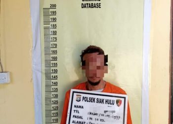 Jajaran Polsek Siak Hulu Tangkap Seorang Tersangka Diduga Pengedar Narkoba di Kubang Jaya