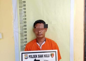 Ingin Transaksi, Bandar Narkoba Ditangkap Polsek Siak Hulu