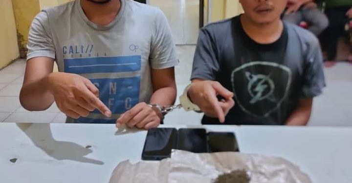 Dua Pelaku Daun Ganja Kering di Tangkap Polsek Tapung Hilir di Kebun Sawit