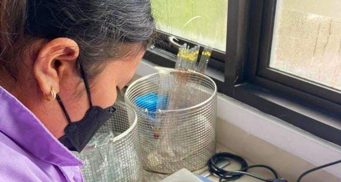 Badan Karantina Pertanian Tingkatkan Pengawasan Lalu Lintas Ternak Demi Cegah Penyebaran Penyakit Mulut dan Kuku