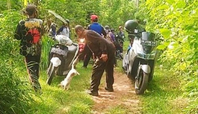 Dinas Kesehatan Jembrana Pertimbangkan Untuk Memusnahkan Anjing Jalanan Ditengah Melonjaknya Kasus Rabies