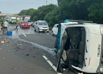 Diangkut dari Bogor, Ribuan Ekor Ikan Lele Berserakan di Tol Tangerang-Merak