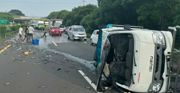 Diangkut dari Bogor, Ribuan Ekor Ikan Lele Berserakan di Tol Tangerang-Merak