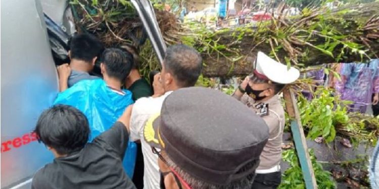 Pohon Tumbang Timpa Mobil di Pasaman Barat, Bayi 2 Tahun Tewas