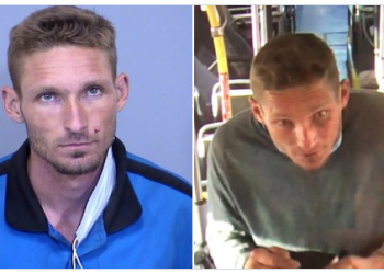 Baru Diebaskan dari Penjara, Pria Ini Sudah Cekik Seorang Wanita