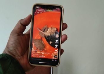 Videonya Viral, Pemilik Akun TikTok Jelaskan Soal Bakso Diduga Daging Tikus ke Polisi