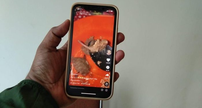 Videonya Viral, Pemilik Akun TikTok Jelaskan Soal Bakso Diduga Daging Tikus ke Polisi