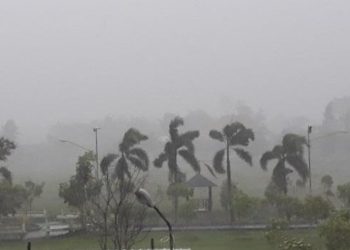 Padang Diterjang Badai, Rumah Warga dan Pohon Tumbang di 10 Lokasi