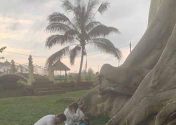 Foto Bugil di Pohon Besar Area Pura Bali, Bule Asal Rusia Minta Maaf