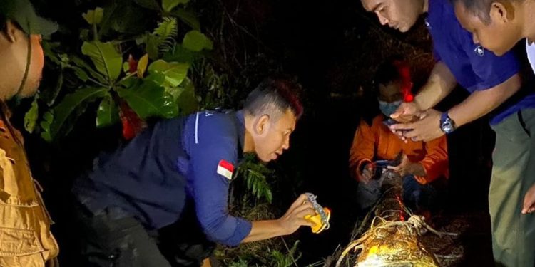 Tubuh Membengkak, Buaya Sinyulong ditemukan Mati di Perkebunan PT CAS Pelalawan Dengan Tubuh Membengkak