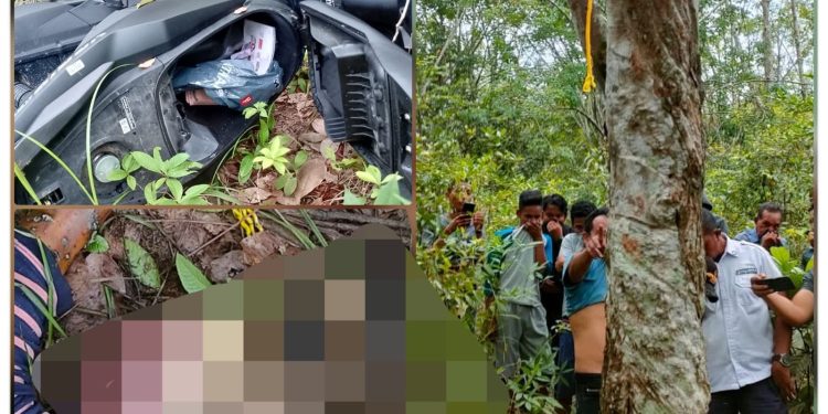 Rohil Geger, Mayat Wanita Ditemukan Membusuk di Kebun Karet Dengan Kepala Tinggal Tengkorak