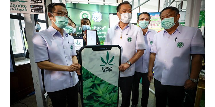 Polisi Thailand Dihukum Karena Menangkap Wanita yang Menanam Ganja di Rumahnya