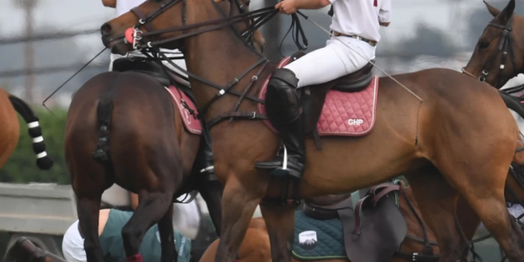 Pangeran Harry Terjatuh Dari Kudanya Saat Pertandingan Polo