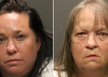 Seorang Ibu dan Nenek Ditangkap Setelah Seorang Anak Perempuan Meninggal Karena Serangan Kutu