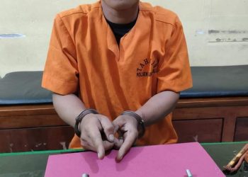 Curi Sepeda Motor di Musala, Warga Rengat Ini Ditangkap Polsek Siak Hulu