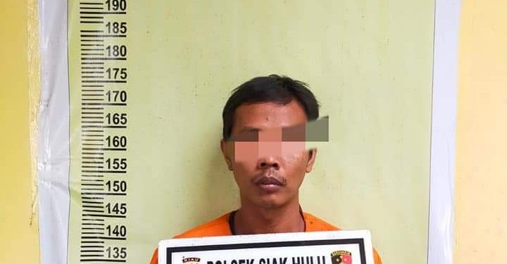 Gelapkan Uang Perusahaan Rp 36 Juta, Pelaku di Ringkus Polsek Siak Hulu Dirumah Mertua