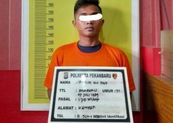 Lakukan Penganiayaan, Seorang Pemuda di Pekanbaru Diamankan Polisi