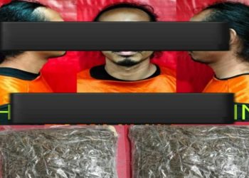 Polisi Gagalkan Penyelundupan 1 Kg Ganja yang Dipesan dari Jakarta
