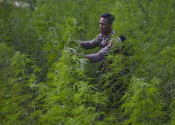 Polres Solok Kota Gagalkan Peredaran 63 Kg Sabu, 1 Pria Diringkus