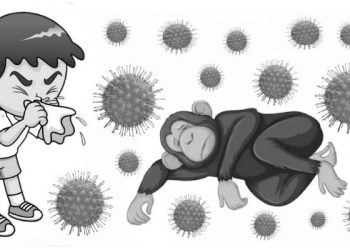 Korea Selatan Laporkan Dua Kasus Pertama Cacar Monyet