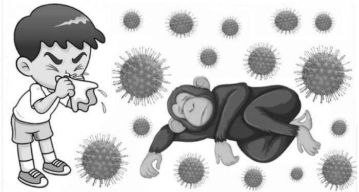 Korea Selatan Laporkan Dua Kasus Pertama Cacar Monyet