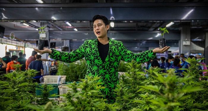 Ganja di Truk Thailand Ini Dijual Rp 295 Ribu