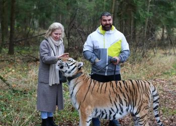 Tragis, Tiga Turis Tewas Dalam Kecelakaan Helikopter Sebelum Mayatnya Diseret dan Dimakan Beruang