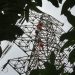 Besi Penyangga Tower PLN Dimaling OTK, Listrik Di Pekanbaru Padam