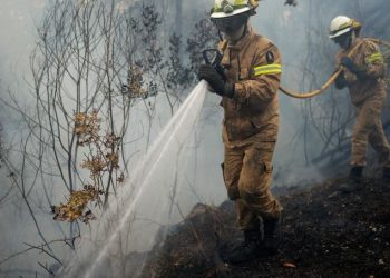 Gelombang Panas Menghanguskan Eropa Saat Ratusan Orang Dievakuasi Dari Kebakaran Hutan