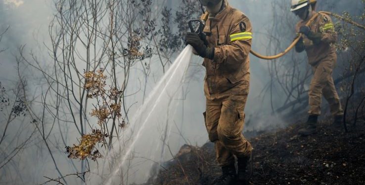Gelombang Panas Menghanguskan Eropa Saat Ratusan Orang Dievakuasi Dari Kebakaran Hutan