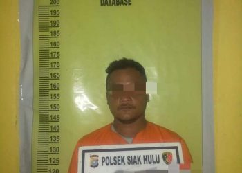 Kabur ke Duri, Pelaku Pencabulan 3 Bocah di Desa Tanah Merah Ringkus Diringkus Polisi