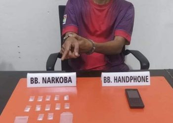 Asik Nyantai di Rumah, Pengedar Sabu di Kampar Diciduk Polisi, 12 Paket Sabu Diamankan