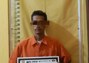 Curi Ikan Gurami Warga, Resedivis Ini Ditangkap Polsek Kampar