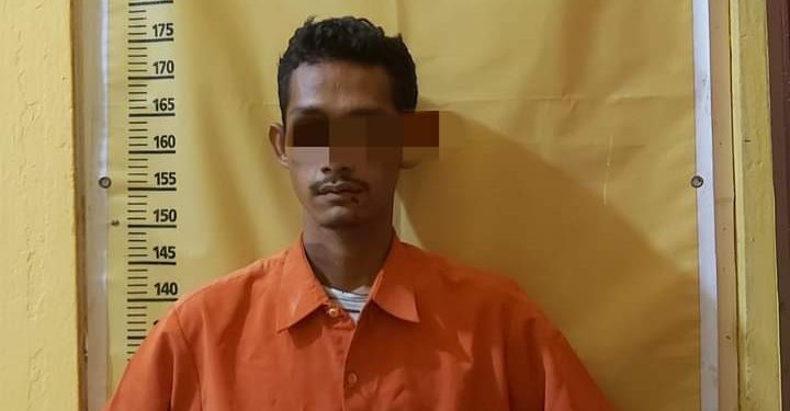 Curi Ikan Gurami Warga, Resedivis Ini Ditangkap Polsek Kampar