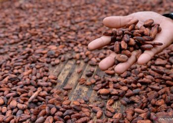 Pabrik Cokelat Terbesar di Belgia Tutup Karena Wabah Salmonella