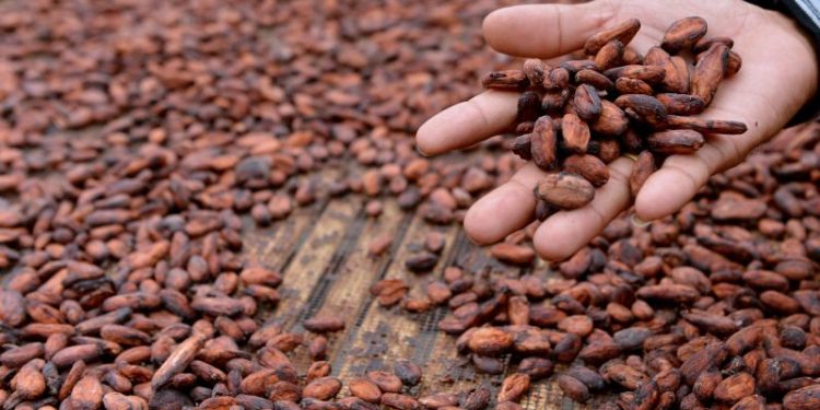 Pabrik Cokelat Terbesar di Belgia Tutup Karena Wabah Salmonella