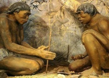 Tengkorak Tertua Ditemukan di Eropa, Diketahui Fosil Wajah Manusia Berusia 1,4 Juta Tahun