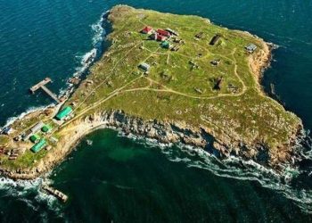 Rusia Mundur dari Pulau Ular Bukti Mustahil Taklukkan Ukraina